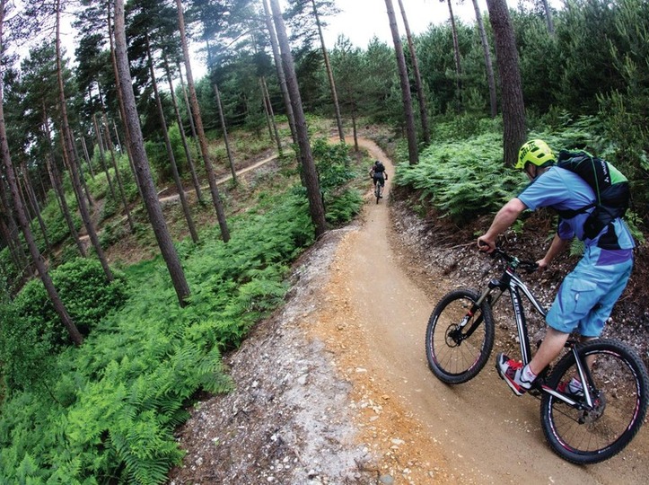 Swinley